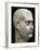 Marble Head of Emperor Decimo Celio Balbinus, 238 Ad, Profile View, 3rd Century-null-Framed Giclee Print