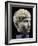 Marble Head of Young Barbarian, Artifact from Volubilis, Morocco, 27-14 BC-null-Framed Giclee Print