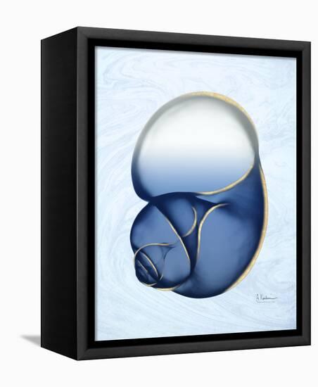 Marble Indigo Snail 1-Albert Koetsier-Framed Stretched Canvas