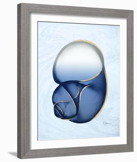 Marble Indigo Snail 1-Albert Koetsier-Framed Photo