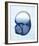 Marble Indigo Snail 1-Albert Koetsier-Framed Photo