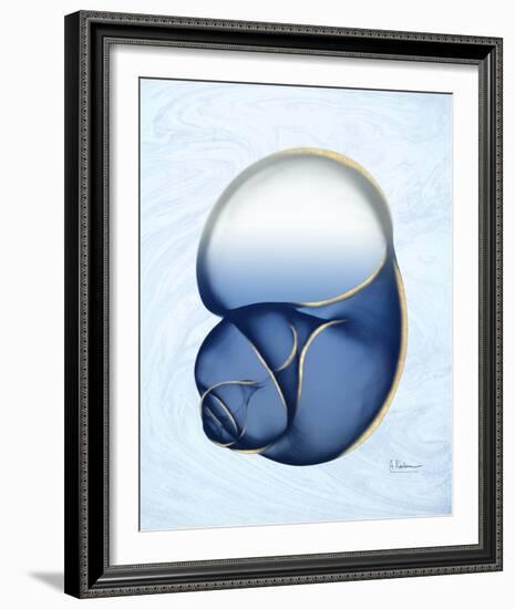 Marble Indigo Snail 1-Albert Koetsier-Framed Photo