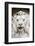 Marble lion at Ponte Vittorio Emanuele 2nd Rome, Latium, Italy, Europe-Nico Tondini-Framed Photographic Print