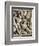 Marble Sarcophagus known as Amendola Sarcophagus with Battle Scenes Between Romans and Barbarians-null-Framed Giclee Print