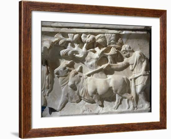Marble Sarcophagus with Relief Depicting Legend of Triptolemus, Detail of Field Ploughin-null-Framed Giclee Print