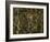 Marble-Kaj Svensson-Framed Photographic Print