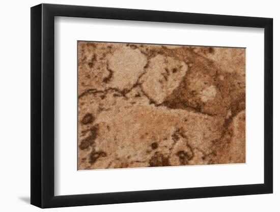 Marble-K.B. White-Framed Photographic Print