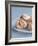 Marbled Chocolate Meringue-Ngoc Minh and Julian Wass-Framed Photographic Print