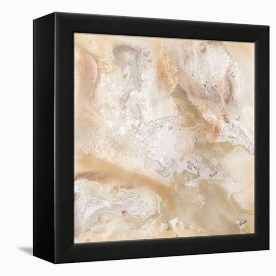 Marbled Expression I-Jason Jarava-Framed Premier Image Canvas