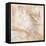 Marbled Expression I-Jason Jarava-Framed Premier Image Canvas