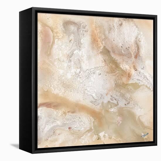 Marbled Expression I-Jason Jarava-Framed Premier Image Canvas