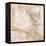 Marbled Expression I-Jason Jarava-Framed Premier Image Canvas