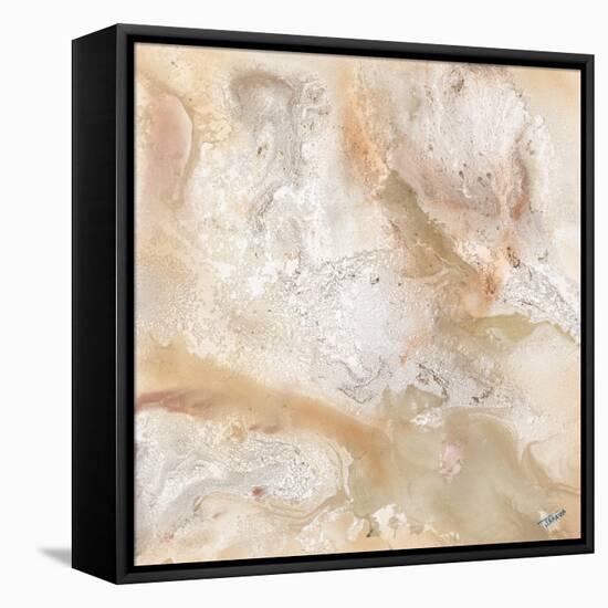 Marbled Expression I-Jason Jarava-Framed Premier Image Canvas