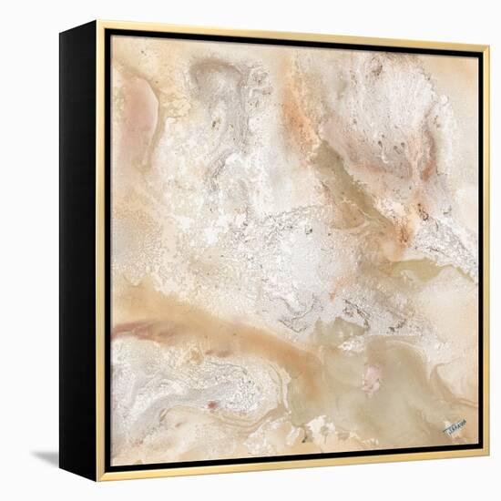 Marbled Expression I-Jason Jarava-Framed Premier Image Canvas