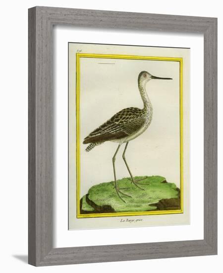 Marbled Godwit-Georges-Louis Buffon-Framed Giclee Print