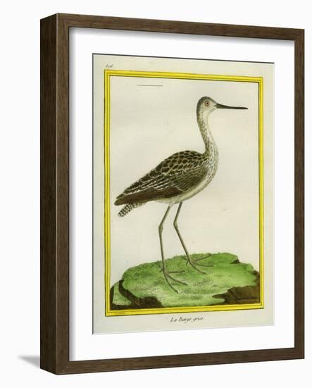 Marbled Godwit-Georges-Louis Buffon-Framed Giclee Print