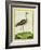 Marbled Godwit-Georges-Louis Buffon-Framed Giclee Print