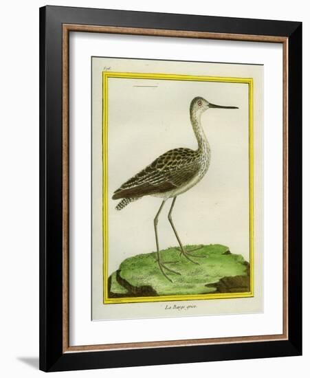 Marbled Godwit-Georges-Louis Buffon-Framed Giclee Print