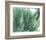 Marbled Malachite II-Studio W-Framed Art Print