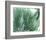 Marbled Malachite II-Studio W-Framed Art Print