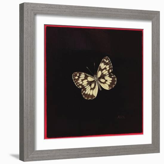 Marbled White Butterfly, 2000-Amelia Kleiser-Framed Giclee Print