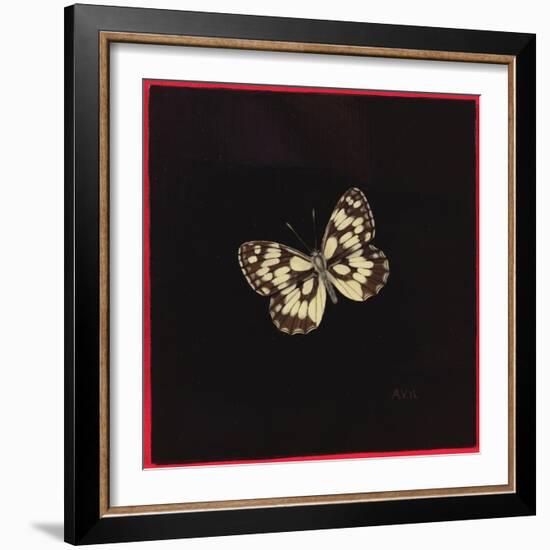 Marbled White Butterfly, 2000-Amelia Kleiser-Framed Giclee Print