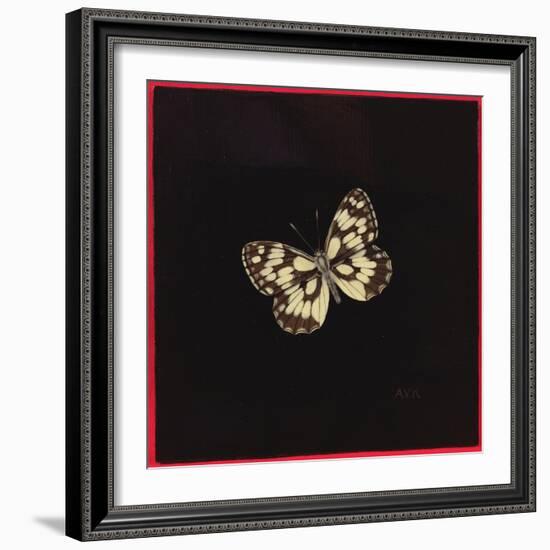 Marbled White Butterfly, 2000-Amelia Kleiser-Framed Giclee Print