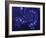 Marbleized Blue-Fractalicious-Framed Giclee Print