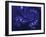 Marbleized Blue-Fractalicious-Framed Giclee Print