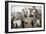 Marc Antony's Oration over Julius Caesar's Body in Ancient Rome, 44 Bc-null-Framed Giclee Print
