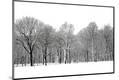 Photographic Print