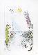 Collectable Print