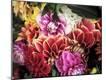 Premium Photographic Print