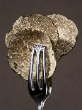 Truffle Slices in Tongs-Marc O^ Finley-Photographic Print