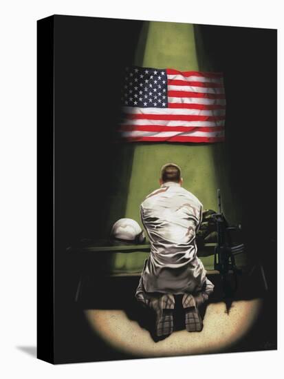 Stretched Canvas Print, , large