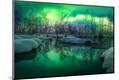 Premium Photographic Print
