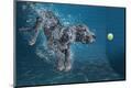 Premium Photographic Print