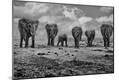 Photographic Print