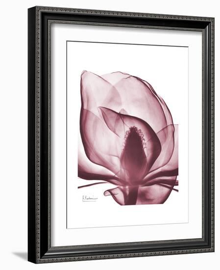 Marcela Magnolia-Albert Koetsier-Framed Premium Giclee Print