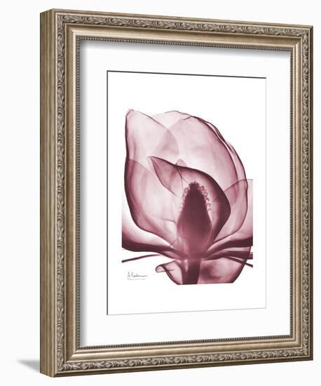 Marcela Magnolia-Albert Koetsier-Framed Art Print