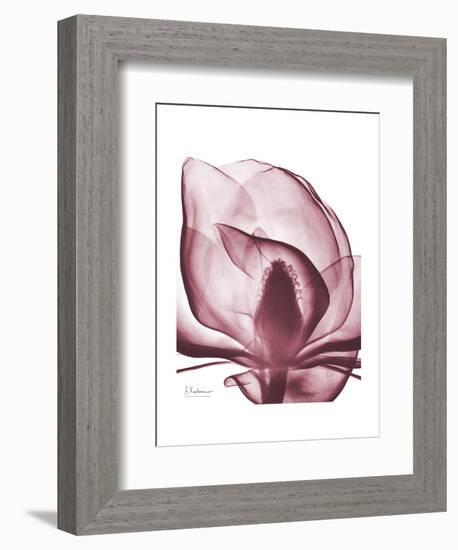 Marcela Magnolia-Albert Koetsier-Framed Art Print