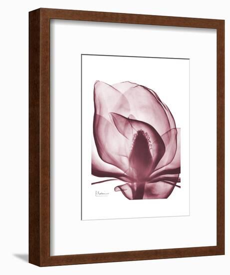 Marcela Magnolia-Albert Koetsier-Framed Art Print