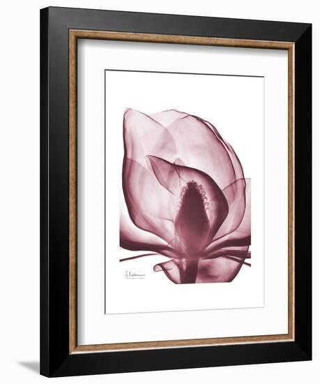 Marcela Magnolia-Albert Koetsier-Framed Art Print