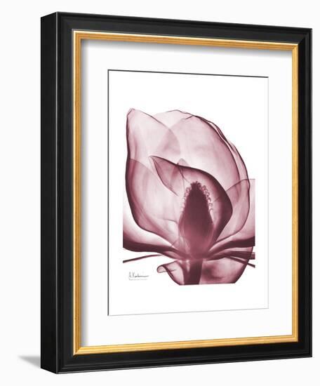 Marcela Magnolia-Albert Koetsier-Framed Art Print