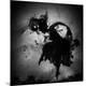 Photographic Print