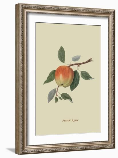 March Apple-William Hooker-Framed Art Print