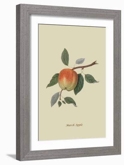 March Apple-William Hooker-Framed Art Print