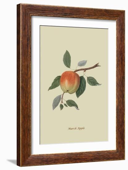 March Apple-William Hooker-Framed Art Print