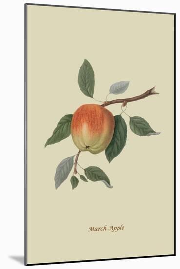 March Apple-William Hooker-Mounted Art Print