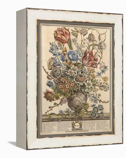 March, from 'Twelve Months of Flowers' by Robert Furber (C.1674-1756) Engraved by Henry Fletcher-Pieter Casteels-Framed Premier Image Canvas